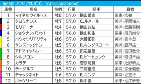 アメリカジョッキークラブカップ2024の枠順