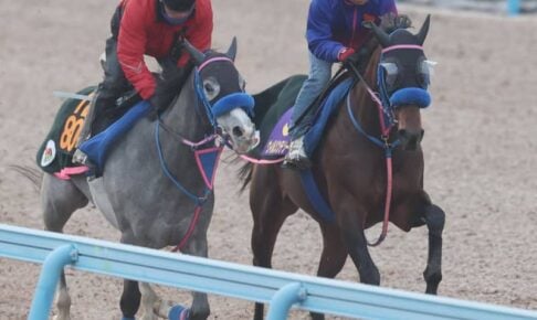 【フェブラリーS】ウィルソンテソーロ、戦闘モード突入　小手川師「やってやるぞという目つきに」
