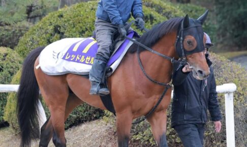 【フェブラリーS】レッドルゼル、8歳でも元気　悲願のJRA・G1初制覇見据える