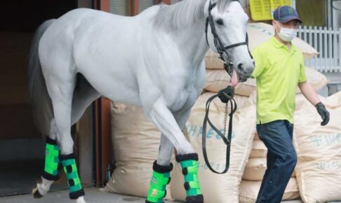 【フェブラリーS】ガイアフォースが砂初挑戦、長岡とコンビ　杉山晴師「血統からすればむしろダート」