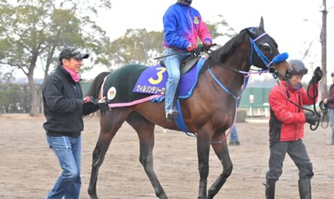 【フェブラリーS】ウィルソンテソーロ　G1制覇の絶好機　2強不在、調整順調、得意舞台なら負けられない