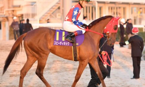 【フェブラリーS】浦和の女傑スピーディキック　昨年6着交流重賞でもまれ成長　牝馬初の戴冠なるか