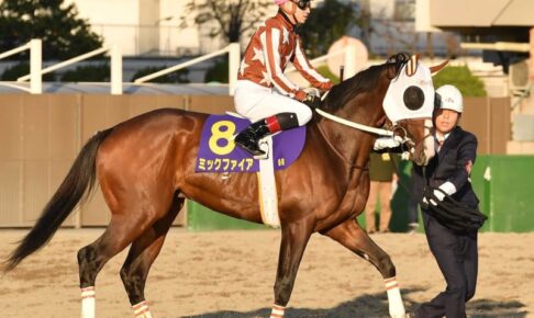 【フェブラリーS】大井の若大将ミックファイア　南関東3冠無敗で制覇　前走は力出せず巻き返す