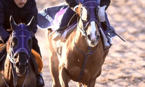 【フェブラリーS】オメガギネス　運も味方に頂点へ　ルメール「コンディションはバッチリ」