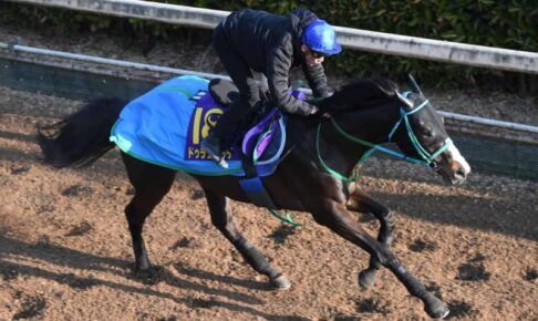 【フェブラリーS】ドゥラエレーデ　池添師「正直速過ぎ」一番時計に苦笑い　ムルザバエフは涼しい顔