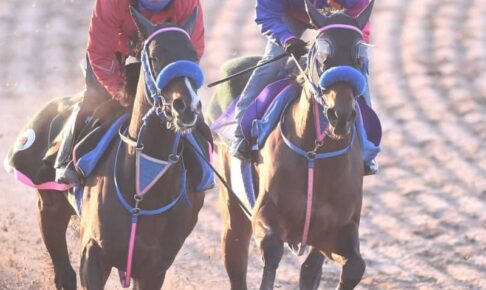 【フェブラリーS】ウィルソンテソーロ　楽に先着　陣営「いい状態で本番。もう2着はいらない」