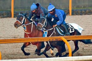 【フェブラリーS】キングズソード JRA・G1初制覇へ好感触！ラスト切れた11秒6