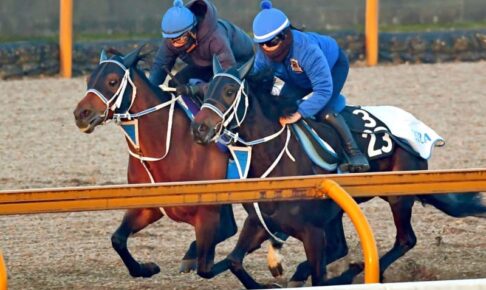 【フェブラリーS】キングズソード JRA・G1初制覇へ好感触！ラスト切れた11秒6