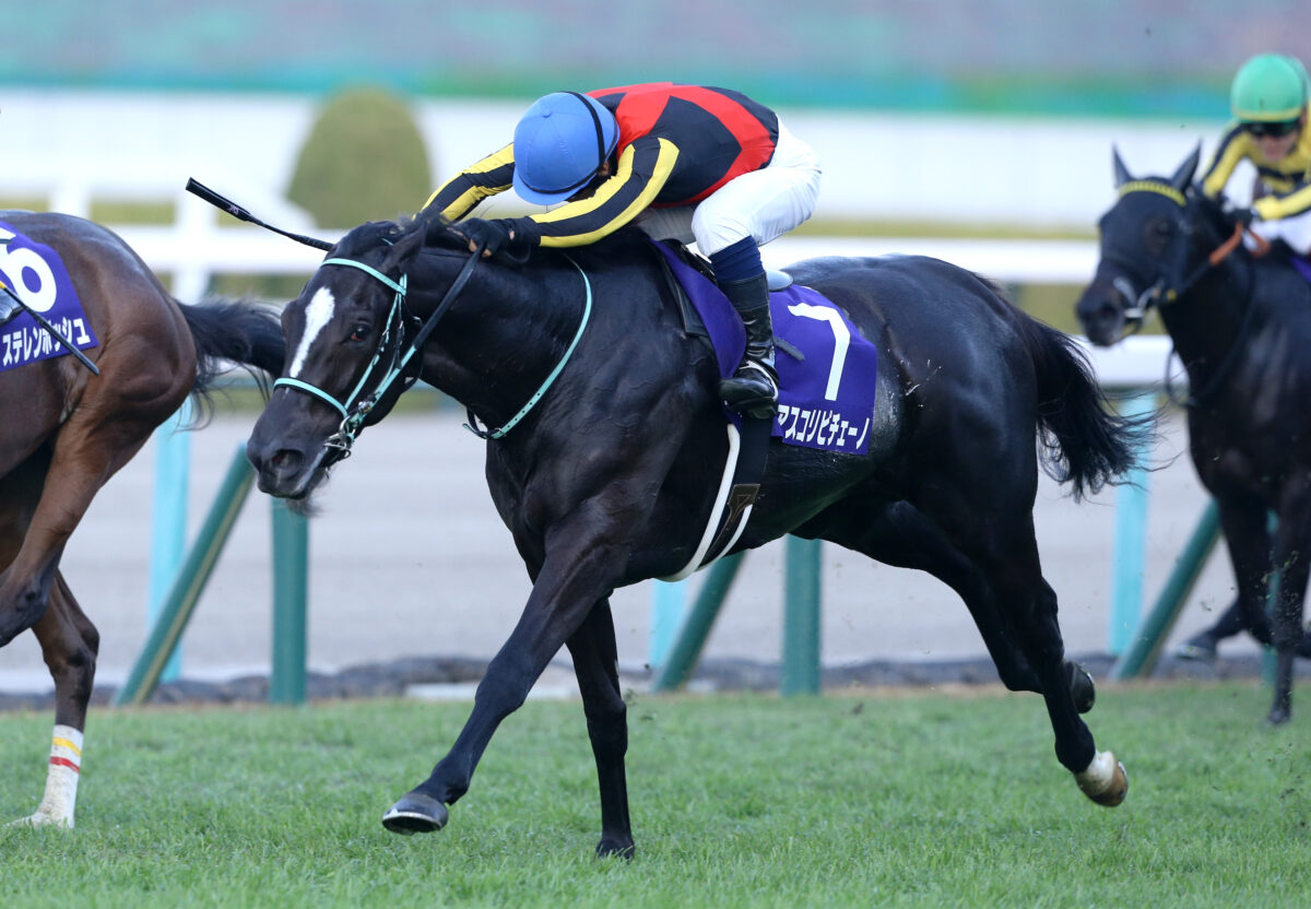 アスコリピチェーノ／23年阪神JF（C）Eiichi Yamane