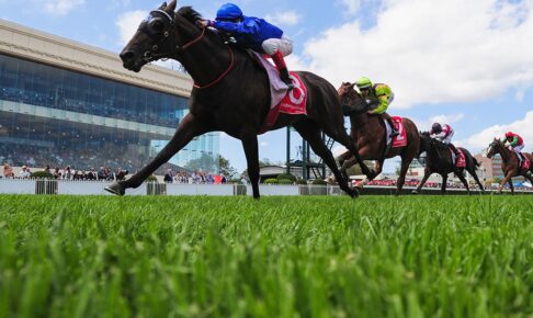 【ヴィクトリアマイル/全頭診断】アスコリピチェーノとボンドガールの評価は馬場次第 “押さえるべき”想定10人気以下は 【ヴィクトリアマイル/全頭診断】アスコリピチェーノとボンドガールの評価は馬場次第 “押さえるべき”想定10人気以下は