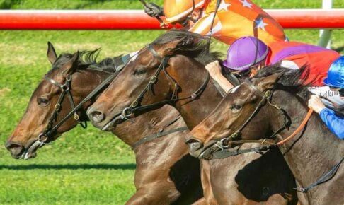 【天皇賞春/データ攻略】ハヤテノフクノスケとジャスティンパレスとの「買い or 消し」 勢いか経験値か……下されたジャッジは 【天皇賞春/データ攻略】ハヤテノフクノスケとジャスティンパレスとの「買い or 消し」 勢いか経験値か……下されたジャッジは