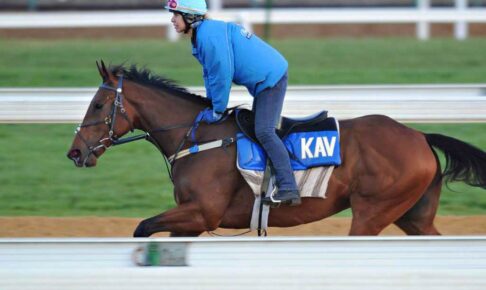 【ヴィクトリアマイル/追い切り診断】絶好時と遜色なしで「S」の最高評価 「穴ならコレ」渋太さ最大限に引き出す意欲的な攻めに“太鼓判” 【ヴィクトリアマイル/追い切り診断】絶好時と遜色なしで「S」の最高評価 「穴ならコレ」渋太さ最大限に引き出す意欲的な攻めに“太鼓判”