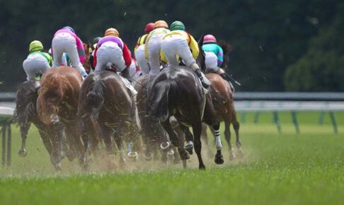 【阪神JF/馬場情報】京都は「やや硬め」の高速馬場も位置取りに注意 人気薄の先行馬が波乱の目か 【阪神JF/馬場情報】京都は「やや硬め」の高速馬場も位置取りに注意 人気薄の先行馬が波乱の目か