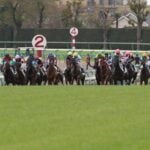 【フェアリーS/全頭診断】「単複回収値150超」で穴妙味感じる想定6人気以下 “押さえ程度が妥当”の前走重賞組は 【フェアリーS/全頭診断】「単複回収値150超」で穴妙味感じる想定6人気以下 “押さえ程度が妥当”の前走重賞組は