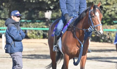 【中山記念】ソールオリエンス　世代上位の力示す　新タッグ田辺「乗りやすくなっていましたね」