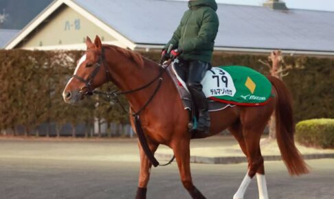 【サウジC】世界が注目デルマソトガケ進化発揮　音無師「4歳になって本格化」