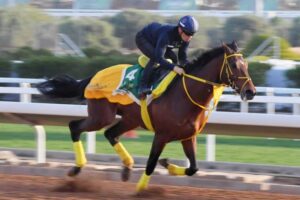 【サウジC】ウシュバテソーロ動きスムーズ　ラストはド迫力走！　川田「パワーが必要な馬場」で豪脚さく裂狙う