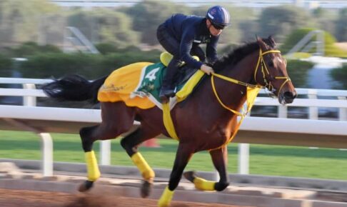 【サウジC】ウシュバテソーロ動きスムーズ　ラストはド迫力走！　川田「パワーが必要な馬場」で豪脚さく裂狙う
