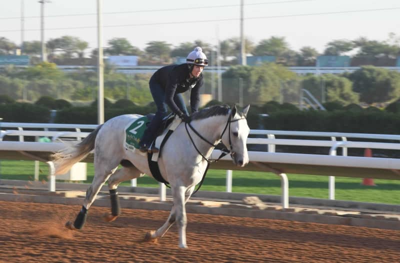 【サウジC】ホワイトアバリオ軽快フットワーク R・ダトロー師「私たちは勝つためにここに来ている」 【サウジC】ホワイトアバリオ軽快フットワーク R・ダトロー師「私たちは勝つためにここに来ている」