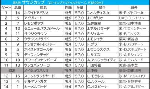【サウジカップ／馬連7点】想定1人気は“ムラ駆け”傾向でマイナスか　「実力伯仲も波乱含み」