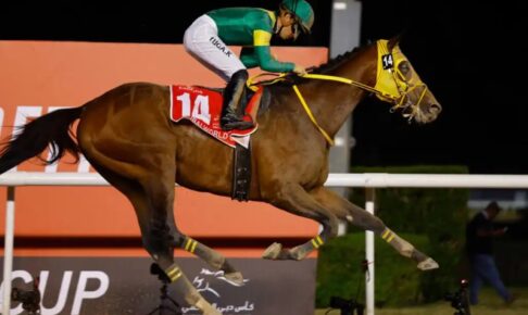 【サウジカップ2024】日本馬が“イクイノックス超え”へ　現実味帯びる「生涯獲得賞金30億円」突破