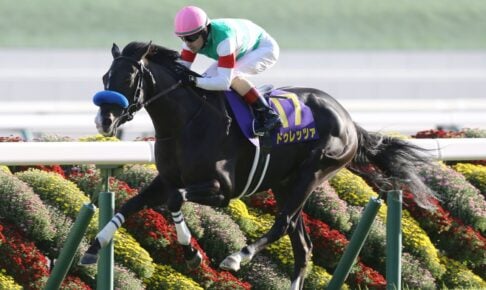 【菊花賞2025予想】過去10年のレース結果・配当・血統まとめ　傾向分析に使えるお役立ちデータ