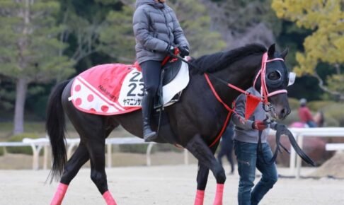 【金鯱賞】ヤマニンサルバム　好相性中京で主役奪う　中村師「時計的にも問題ない」