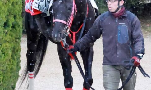 【金鯱賞】ヤマニンサルバム　得意舞台・中京でG2獲りだ　中村師も期待「全体にパワーアップ」