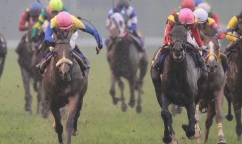 10年オークス覇者・サンテミリオン　病気のため17歳で死去