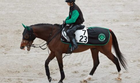 【阪神大賞典】サヴォーナ善戦マン返上だ！春のG1戦へ弾みをつけられるか　中竹師「身体能力の高い馬」