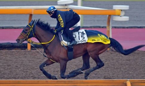 【阪神大賞典】テーオーロイヤル 充実走　重賞連勝へ軽快フットワーク　菱田「めっちゃ良かった」