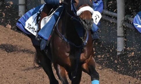 【阪神大賞典】ブローザホーン　菅原明を背に快調　初挑戦の三千に吉岡師「心肺機能の高さも強み」