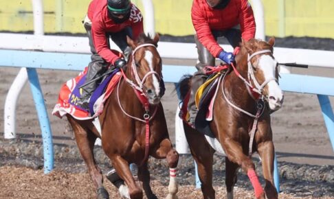 【高松宮記念】ウインマーベル　脚力の違い見せつけた　深山師「抜け出してからも集中」