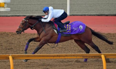 【ドバイWCデー諸競走】ドウデュース　ドバイターフへ圧巻の動き　武豊「めちゃくちゃ動くね」