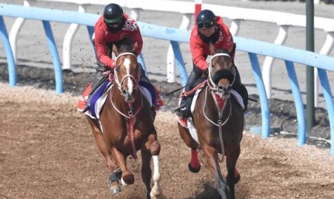 【高松宮記念】ウインマーベル　迫力満点！重賞連勝勢いそのまま　深山師「満足いく仕上がり」