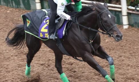 【高松宮記念】ルガル　完璧に仕上“ガル”！鋭い伸び　西村淳「1週ごとに調子良くなっている」