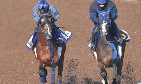 【大阪杯】ソールオリエンス　ブリンカー着用で追い切り　横山武「予定通りの調教ができた」