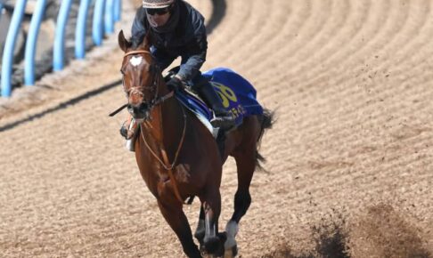 【大阪杯】タスティエーラ伸びたラスト1F11秒2　堀師「順調に仕上がってきている」