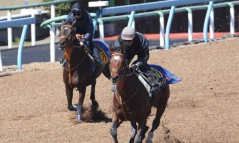 【大阪杯】タスティエーラ余裕の走り　課題を挙げつつ堀師「九分から九・五分くらいの状態に」