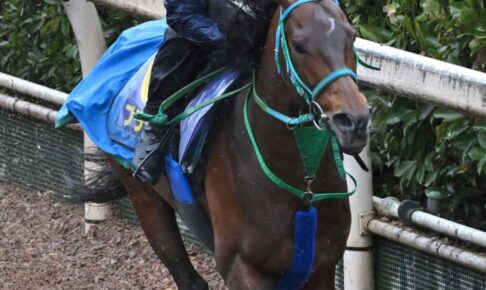 【大阪杯】プラダリア絶好機　悲願の兄・謙一との兄弟G1制覇へ　池添学師「兄弟2人の夢」