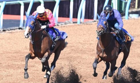 【大阪杯】ローシャムパーク　手応え優勢で半馬身先着　田中博師「フィジカルが成長、タメの利いた走り」