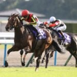 【秋華賞2026予想/過去10年データ】堅いレースに出現する“鬼門の枠” 人気落ちの実績馬に穴妙味あり 【秋華賞2026予想/過去10年データ】堅いレースに出現する“鬼門の枠” 人気落ちの実績馬に穴妙味あり