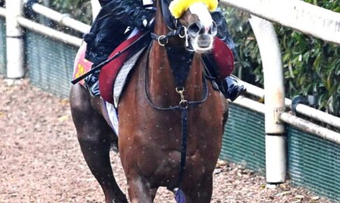 【桜花賞】スウィープフィート満開リハ　ストライド伸び力強さUP　武豊「久しぶりに勝ちたい」期待