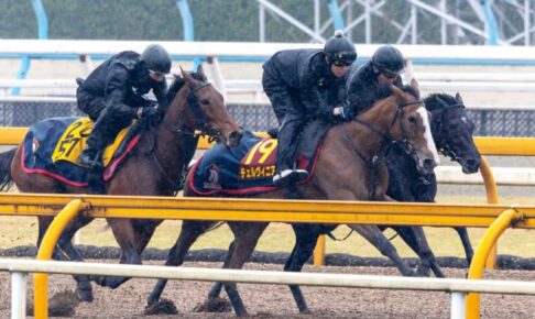 【桜花賞】チェルヴィニア開花　躍動感戻り万全の仕上げ　3頭併せ馬なりでラスト1F11秒6