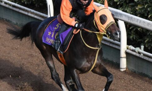 【皐月賞】ジャンタルマンタル確かな良化　高野師「肉体的な成長も感じる」