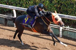 【皐月賞】ジャンタルマンタル冠成　3週連続1F11秒台いざ大一番へ　川田「距離に関しては本当にトライ」