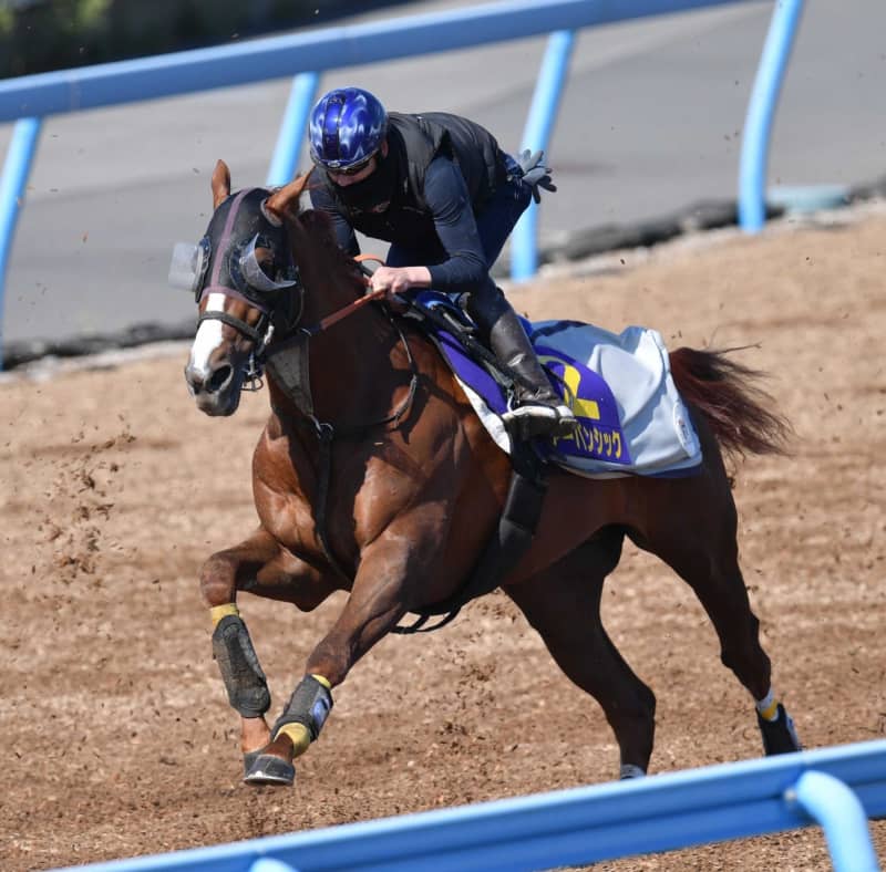 【皐月賞】アーバンシック 大外一気で最先着 横山武「個人的には結構相性のいいレース」 【皐月賞】アーバンシック 大外一気で最先着 横山武「個人的には結構相性のいいレース」