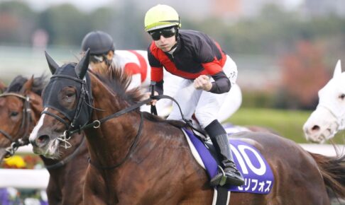 セリフォス／2022年マイルCS（C）Eiichi Yamane