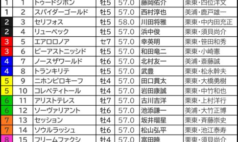 【マイラーズカップ2024予想】芸能人・予想家の本命・注目馬予想まとめ　皐月賞7人気2着コスモキュランダを指名！
