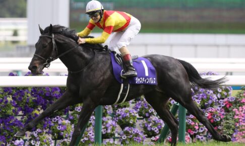 ジャスティンパレス／23年天皇賞・春（C）Eiichi Yamane